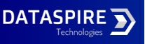 Dataspire Technologies Private Limited
